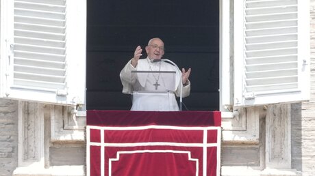 Papst Franziskus während des Regina caeli-Gebets / © Gregorio Borgia (dpa)