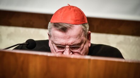 Kardinal Raymond Leo Burke, emeritierter Erzbischof von Saint Louis / © Cristian Gennari (KNA)