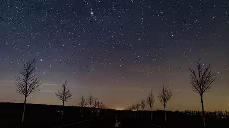 Sternenhimmel &uuml;ber Brandenburg / &copy; Patrick Pleul (dpa)