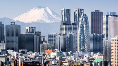 Skyline von Tokio mit Shinjuku-Gebäude und dem Berg Fuji im Hintergrund / © Sakarin Sawasdinaka (shutterstock)