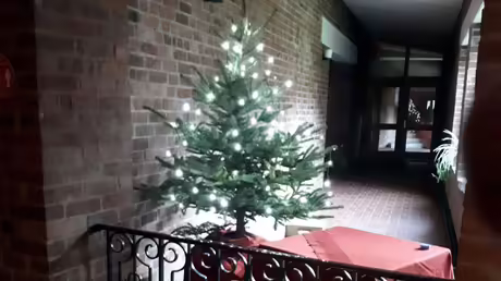 Weihnachtsbaum / &copy; Sr. Emmanuela Kohlhaas (privat)