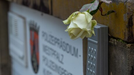 Eine Rose hängt vor der Polizeiinspektion in Kusel zum Gedenken / © Harald Tittel (dpa)
