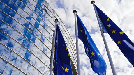 EU-Fahnen vor dem Europäischen Parlament in Brüssel / © sinonimas (shutterstock)