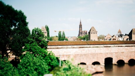 Blick auf Straßburg / © Hadrian (shutterstock)