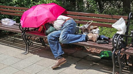 Obdachlose leiden unter der Hitze / © Laszlo66 (shutterstock)