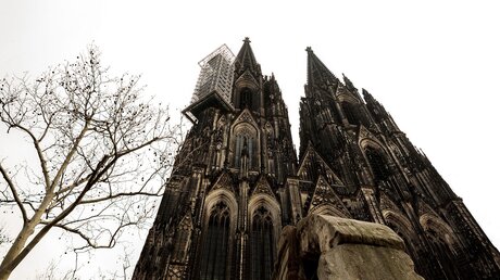 Blick auf den Kölner Dom / © Elen Marlen (shutterstock)