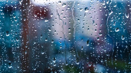 Regentropfen an einer Fensterscheibe (shutterstock)