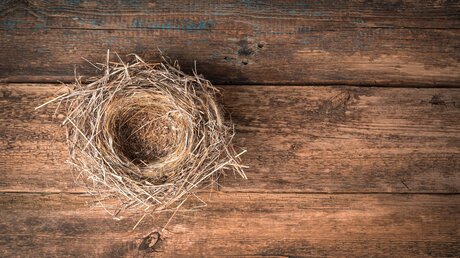 Leeres Nest / © FotosDo (shutterstock)