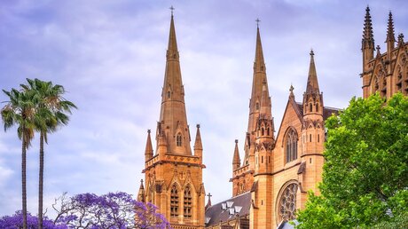 St. Marys Kathedrale in Sydney / © Daniela Constantinescu (shutterstock)