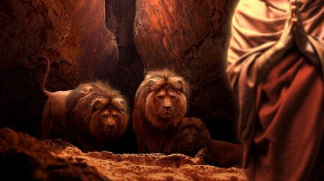Daniel warf sich in die Löwen und betete Gott (Bibel: Dan 6) / © funstarts33 (shutterstock)