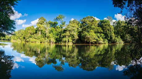 Regenwald am Amazonas / © Nowaczyk (shutterstock)