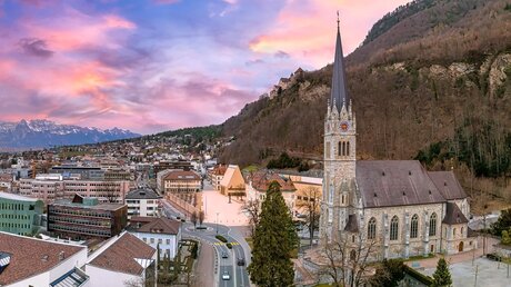 Kathedrale St. Florin in Vaduz / © Ingus Kruklitis (shutterstock)
