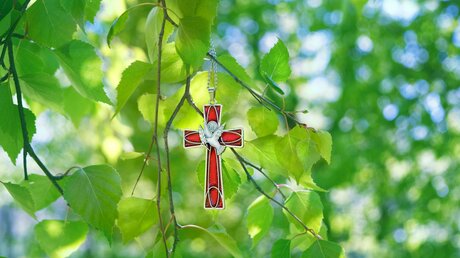 Eine Kette mit einem Kreuz-Anhänger und einer Taube hängt in einem Baum / © ju_see (shutterstock)