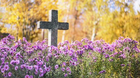 Kreuz auf einem Friedhof / © Algirdas Gelazius (shutterstock)