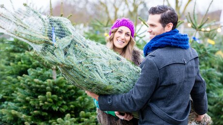 Ein Paar kauft einen Weihnachtsbaum / © Kzenon (shutterstock)