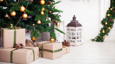 Geschenke unter einem Weihnachtsbaum / © Ekaterina Iatcenko (shutterstock)
