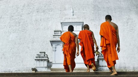 Buddhistische Mönche / © michel arnault (shutterstock)