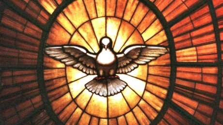 Pfingsten: Zentrales Symbol für den Heiligen Geist ist die Taube (KNA)