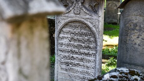 Jüdischer Friedhof in Krakau / © Harald Oppitz (KNA)