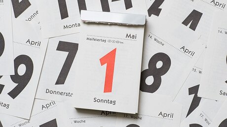 Kalenderblätter / © Sebastian Kahnert (dpa)