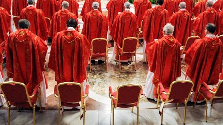 Kardinäle in der Messe vor dem Konklave 2013 / © Harald Oppitz (KNA)