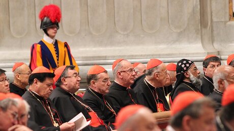 Die Kardinäle haben sich in Rom versammelt / © Claudio Celli (InterMirifica)