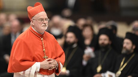Kardinal Anders Arborelius, Bischof von Stockholm, im Juni 2017 im Petersdom im Vatikan. / © Cristian Gennari/Romano Siciliani (KNA)