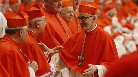 Kardinal Czerny beim Konsistorium (Vatikan)