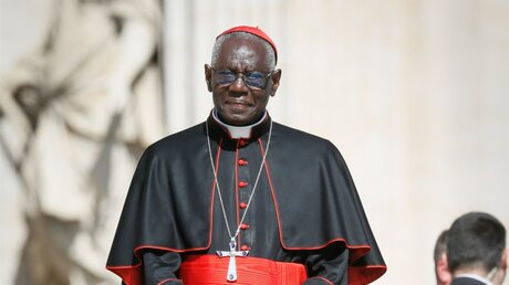 Kardinal Robert Sarah (Archivbild) / © Paul Haring/CNS photo (KNA)