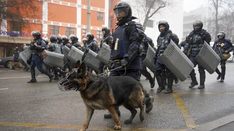 Kasachstan, Almaty: Bereitschaftspolizisten mit Hund versperren Demonstranten den Weg / © Vladimir Tretyakov (dpa)