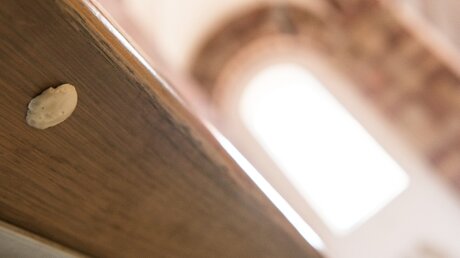 Symbolbild Kaugummi unter einer Kirchenbank / © Andreas Arnold (dpa)