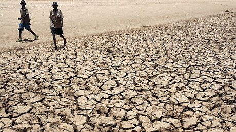 Dürre in Kenia / © Stephen Morrison (dpa)