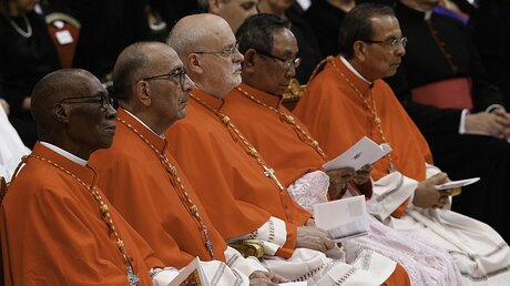 Papst Franziskus ernennt neue Kardinäle / © Paul Haring (KNA)