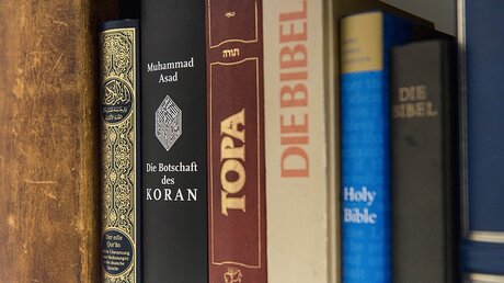  Ausgaben des Koran, der Thora und der Bibel nebeneinander / © Elisabeth Schomaker (KNA)