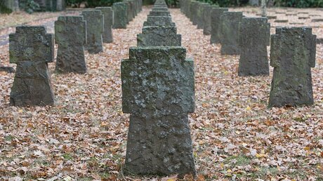 Kriegsgräberstätte für gefallene Soldaten aus dem Ersten und Zweiten Weltkrieg auf dem Nordfriedhof in Bonn / © Elisabeth Schomaker (KNA)