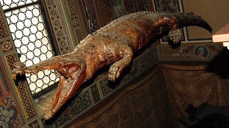 Ausgestopftes Krokodil in der Wallfahrtskirche Madonna delle Lacrime / © BergamoPost (KNA)