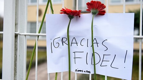 Blumen für verstorbenen Fidel Castro / © Rainer Jensen (dpa)