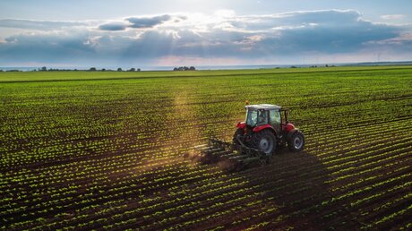 Landwirt mit einem Traktor auf dem Feld / © Valentin Valkov (shutterstock)