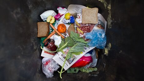Lebensmittel in einer Mülltonne / © Patrick Pleul (dpa)
