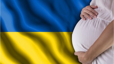 Leihmutterschaften sind in der Ukraine legal / © Pilotsevas (shutterstock)
