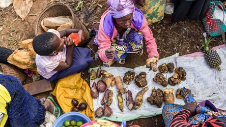 Markt im Kongo / © Harald Oppitz (KNA)