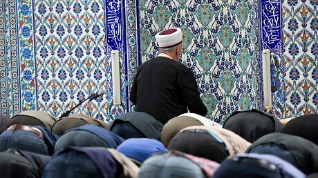 Muslime beten in einer Moschee / © Daniel Naupold (dpa)