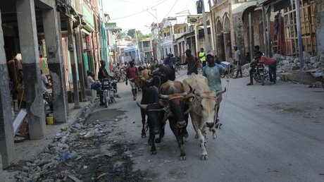 Nach dem Erdbeben in Haiti / © Matias Delacroix (dpa)