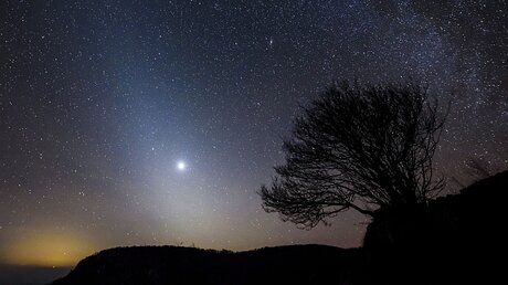 Nachthimmel / © Peter Komka (dpa)