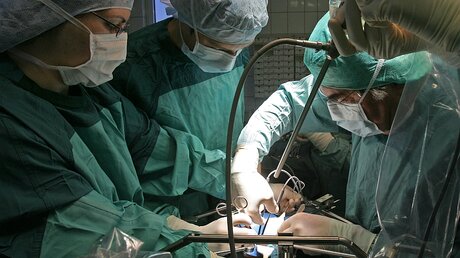 In einer Klinik wird bei einer Operation einem Spender eine Niere entnommen, die für eine Transplantation vorgesehen ist / © Jan-Peter Kasper (dpa)