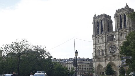 Notre-Dame in Paris / © Matthieu Alexandre (dpa)
