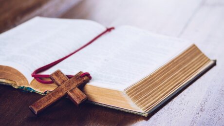 Offene Bibel mit Kreuz / © Freedom Studio (shutterstock)