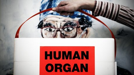 Der illegale Handel mit Organen blüht (dpa)