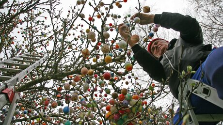 10.000 Eier zieren den Osterbaum in Thüringen (KNA)