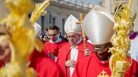 Palmsonntag mit Papst Franziskus / © Stefano dal Pozzolo (KNA)